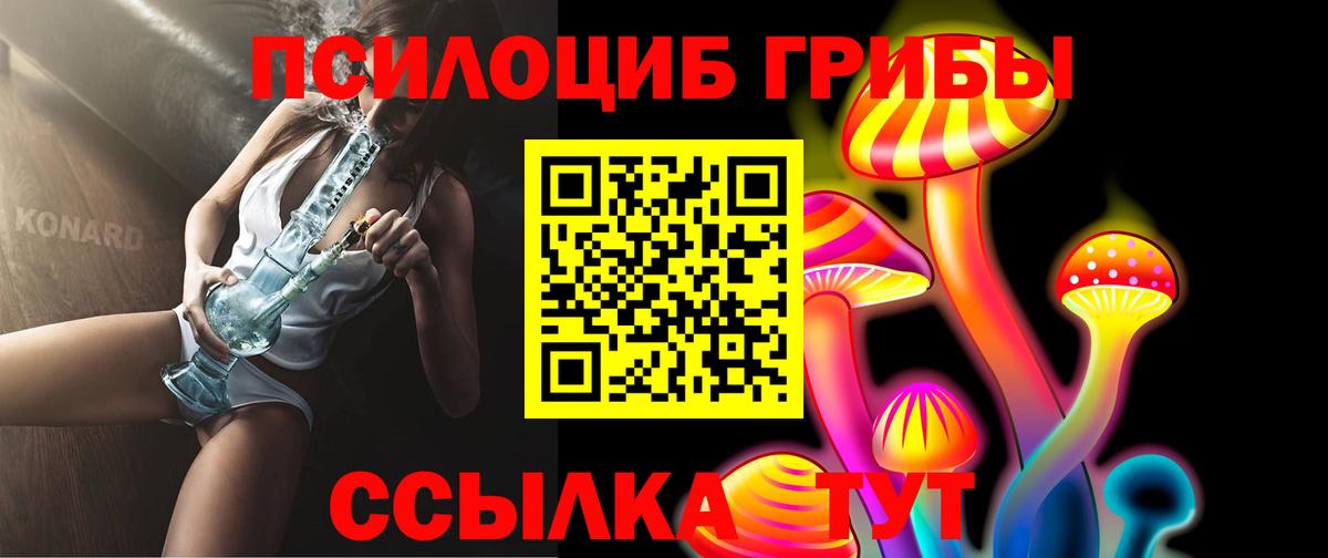 Псилоцибиновые грибы Psilocybe Нарткала